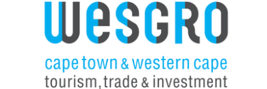 Strategic Investment Partner